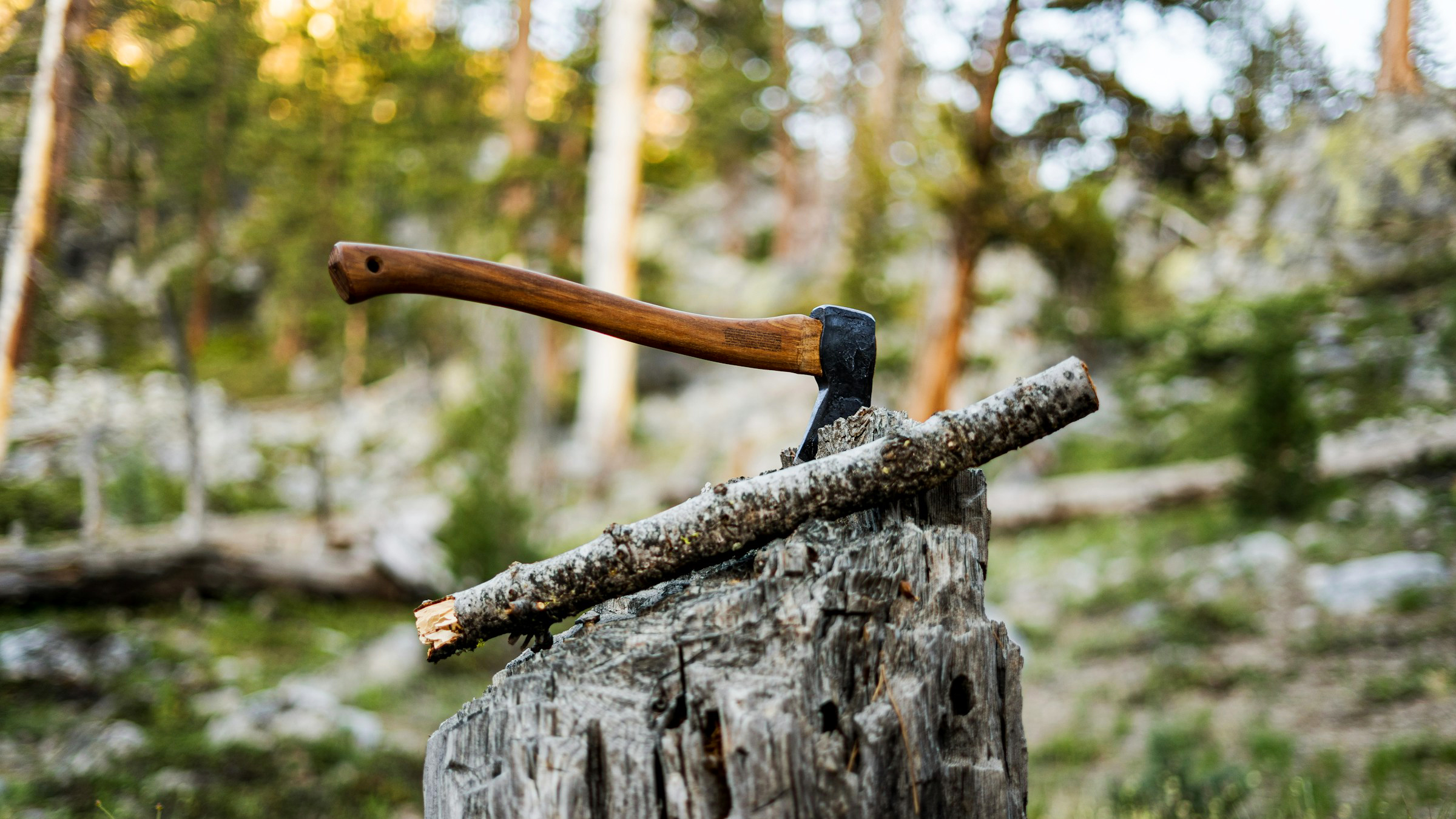 Photo by: cadendrysdale