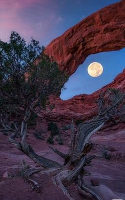 خفقان ِ خشک