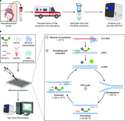 ریل تایم PCR – اصل، فرآیند، نشانگرها، مزایا، موارد استفاده