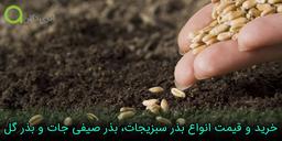 انواع بذر سبزیجات، بذر صیفی جات و بذر گل