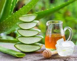 آلوئه ورا و کاربرد های موثر آن برای بهبود سلامت بدن