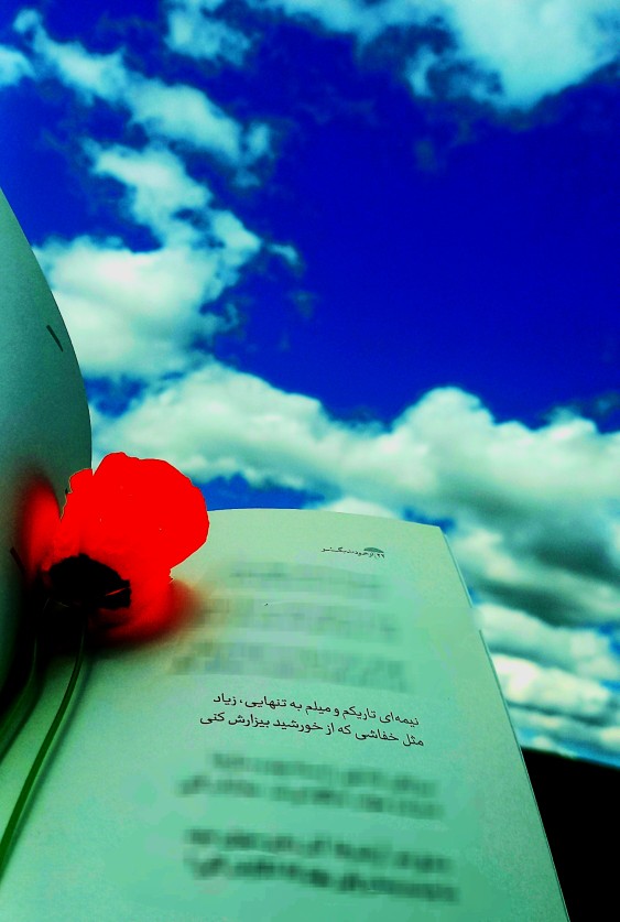 آتش بدون دود