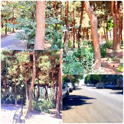 امیدی در دوردست‌ها