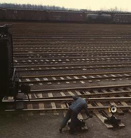 کفش سیرو حرکت