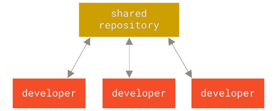 Centralized version control diagram