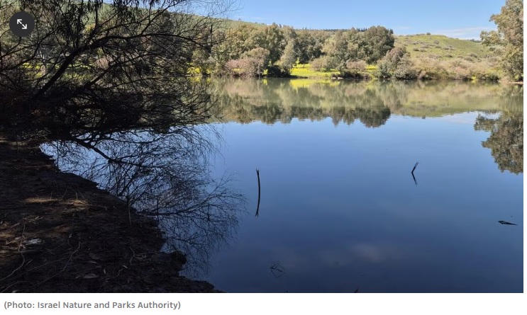 ماخذ عکس و خبر https://www.ynetnews.com/environment/article/hybrydyn1x