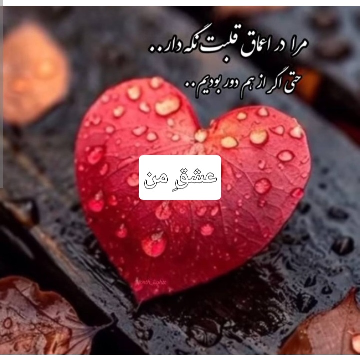 تقدیم به عشقی که سر نگرفت!!!!!!