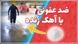 استفاده صحیح از آهک در مراحل ضدعفونی سالن مرغداری