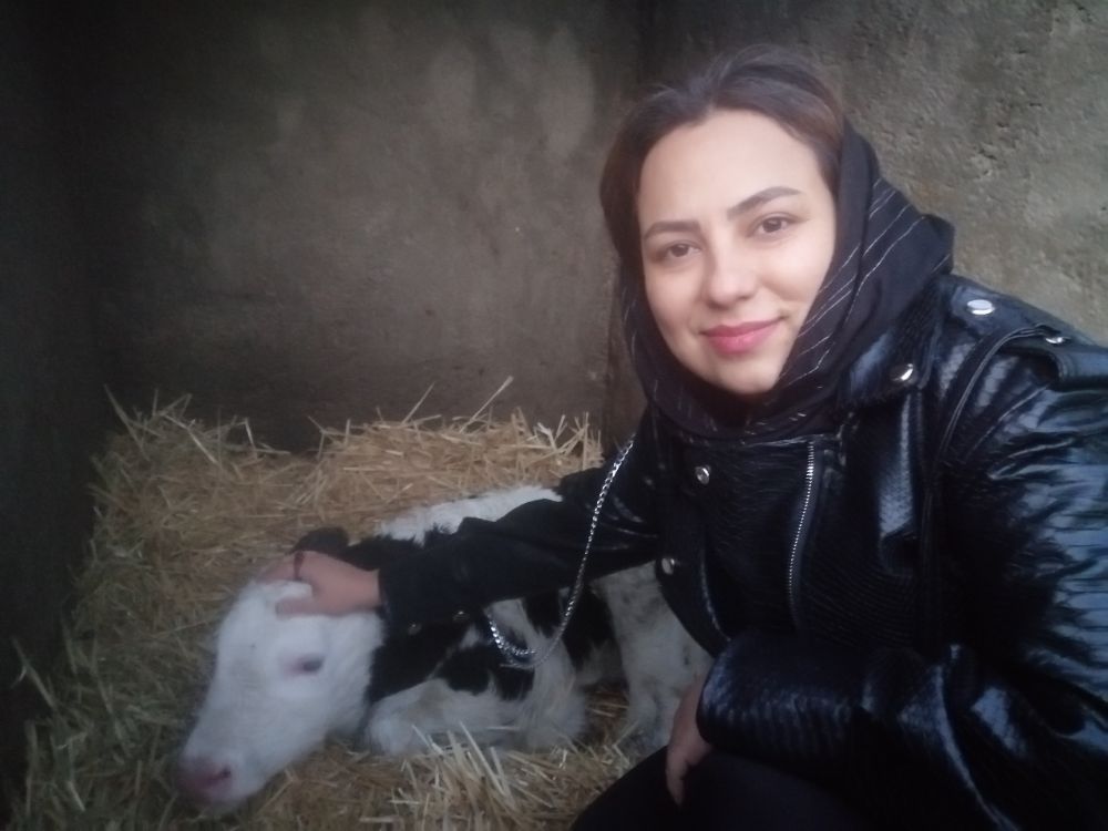 پیشونی سفید