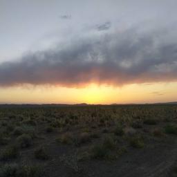 دلنوشته آلوده به قانون