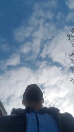 کشتارگاهی با بهترین منظره