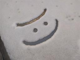 دلخوشی های کوچکمان کجاست؟