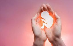 مراحل قانونی اهدای جنین