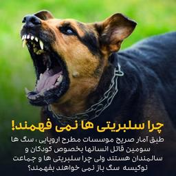 چرا سلبریتی ها نمی فهمند!