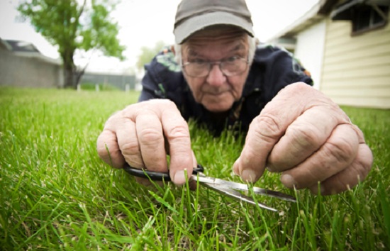 سخنی در نکوهش بیماری کامل‌گرایی