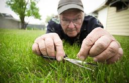 سخنی در نکوهش بیماری کامل‌گرایی