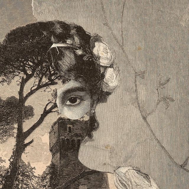 به چشمانم نگاه کن