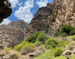 جاده و سکوت!!