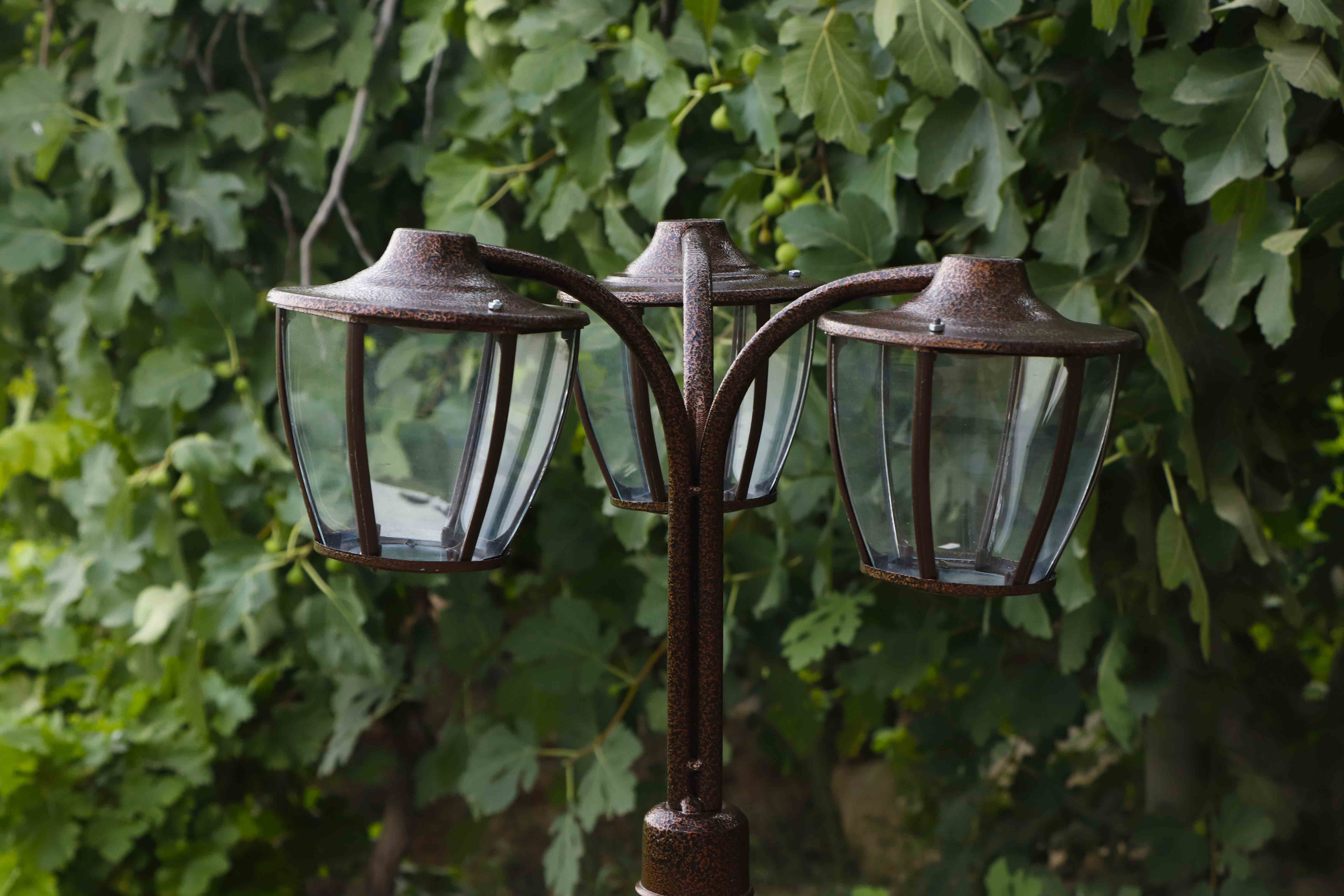 چراغ چمنی جلوه‌ای جادویی در دل باغچه