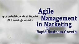 مدیریت چابک در بازاریابی برای رشد سریع کسب و کار