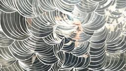 زهرا سمنانی هنر آینه کاری