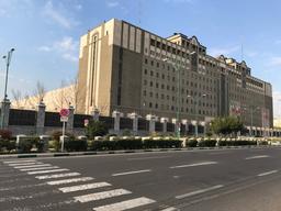 آیا باید مشتریان را تربیت کرد؟