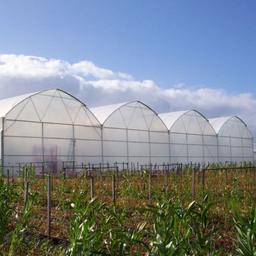 مهم ترین روش های گرمایش گلخانه