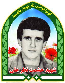 شهيد حشمت نظر علي