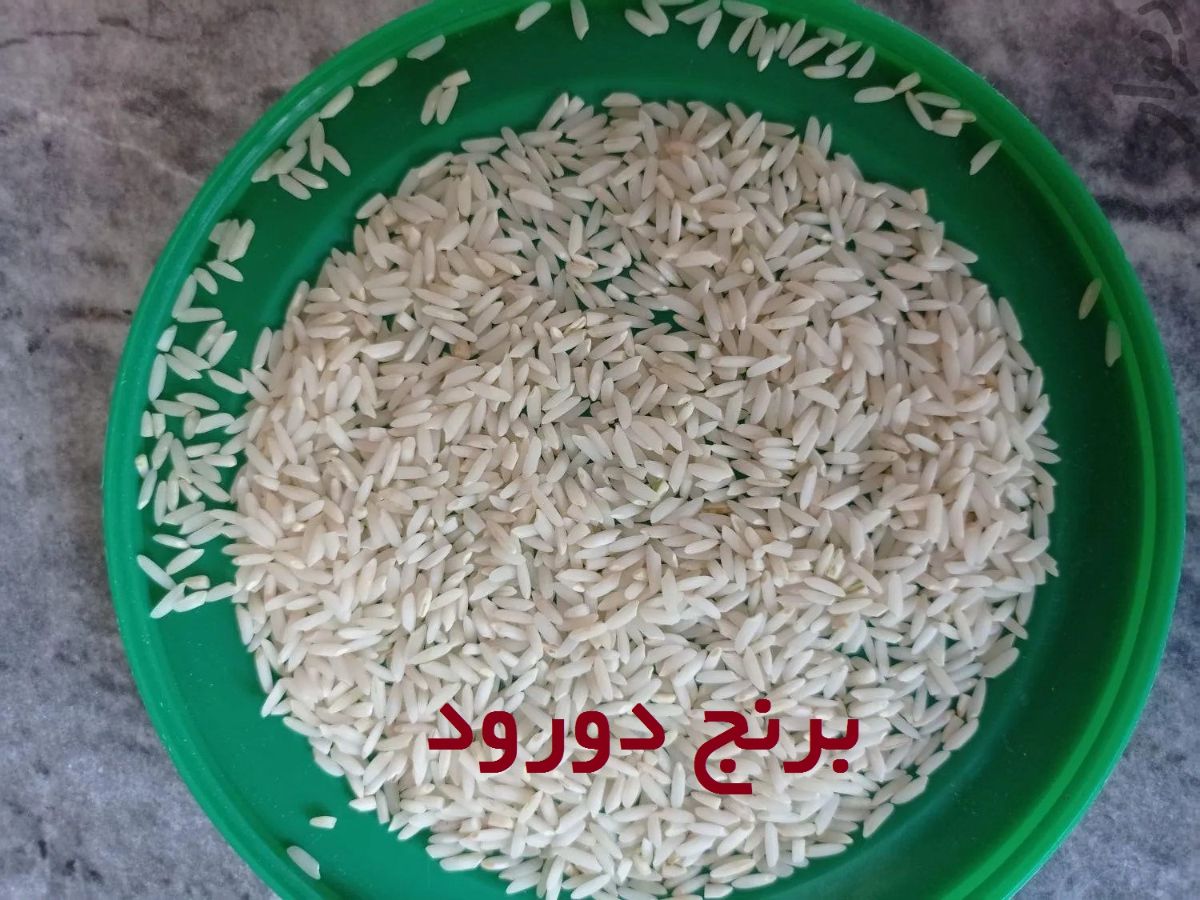 قیمت عمده برنج دورود