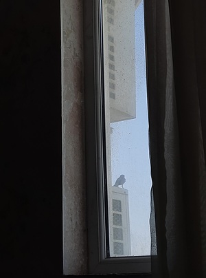 به کیمیا