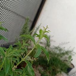 ? بلاگ جدید: گرمازدگی ? در روز روشن ☀️