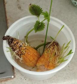 ? وبلاگ جدید: مثل مامان‌ها ?‍?‍?و کشدارترین روز کاری ??