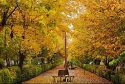 شرلوک هولمز و یک پند مدیریتی