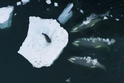 خیر آنها را از صمیم قلب طالب شو