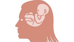 بارداری ذهنی