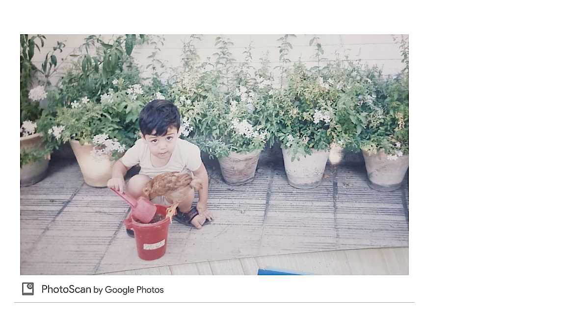 این منم که همونطور که می‌بینید ارتباط خوبی با حیوانات داشتم، این جوجه خروسمم از کودکی خودم بزرگ کردم و صداش می‌کردم می‌دوید و میومد، توی این تصویر داره کمک می‌کنه خاک بازی کنم.