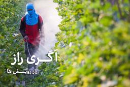 راهنمای جامع اگری راز برای انتخاب سموم مناسب برای مدیریت آفات و بیماری‌های کشاورزی