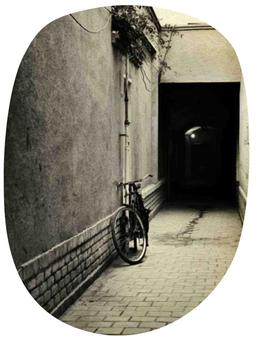 بشقاب پرنده