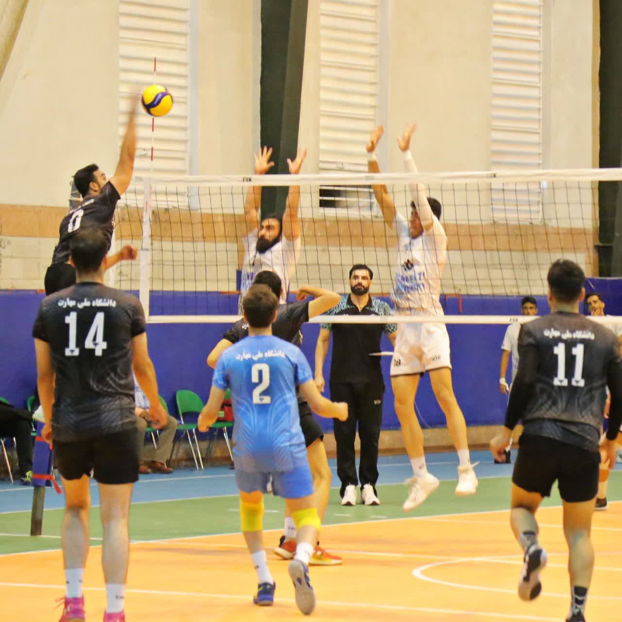 سید ایلیا میرقاسمی