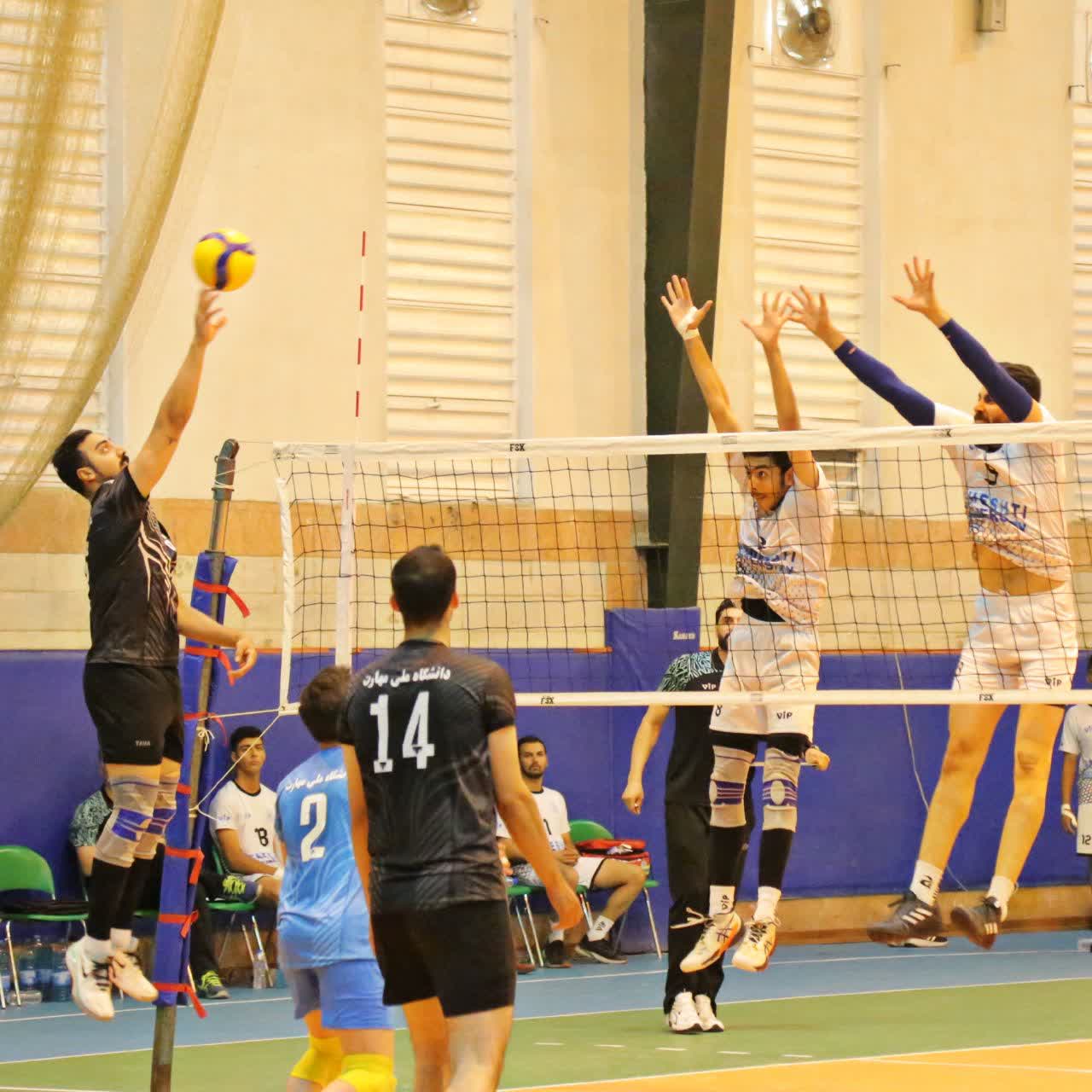 سید ایلیا میرقاسمی