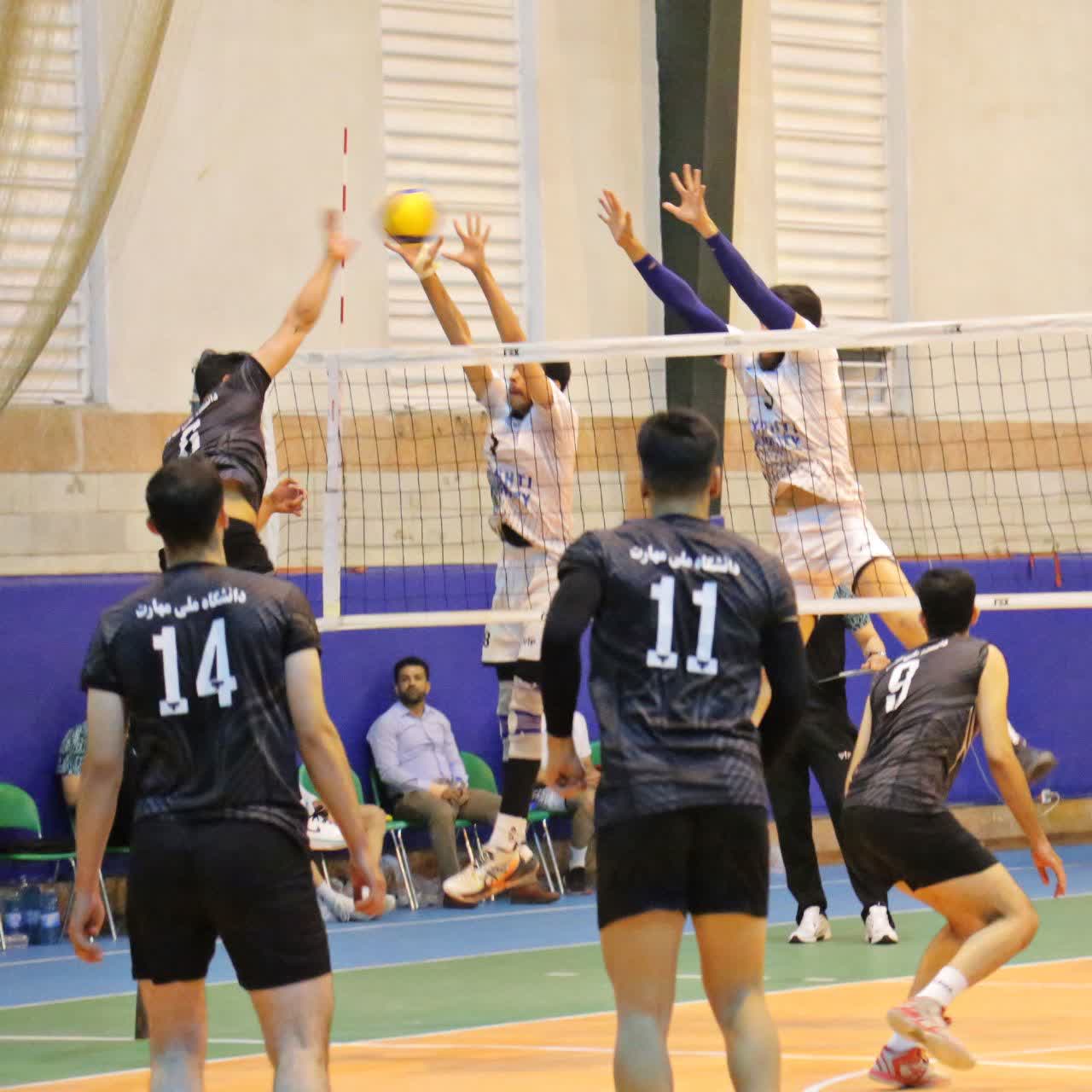 سید ایلیا میرقاسمی