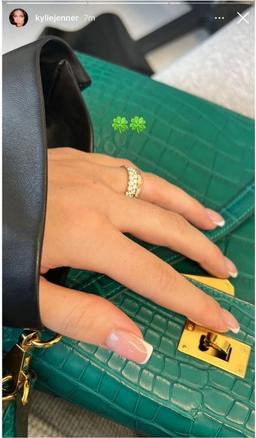 آیا کایلی جنر و تراویس اسکات مخفیانه ازدواج کردند؟