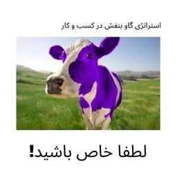 لطفا خاص باشید؛ استراتژی گاو بنفش!