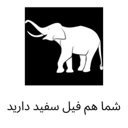 شما هم فیل سفید دارید…