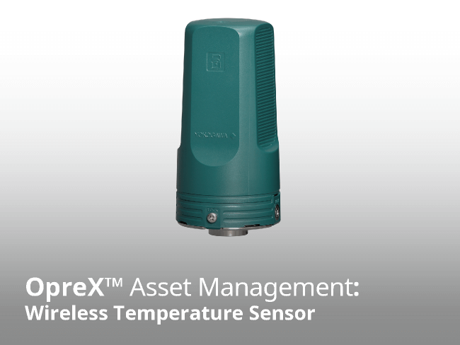 Wireless temperature sensor