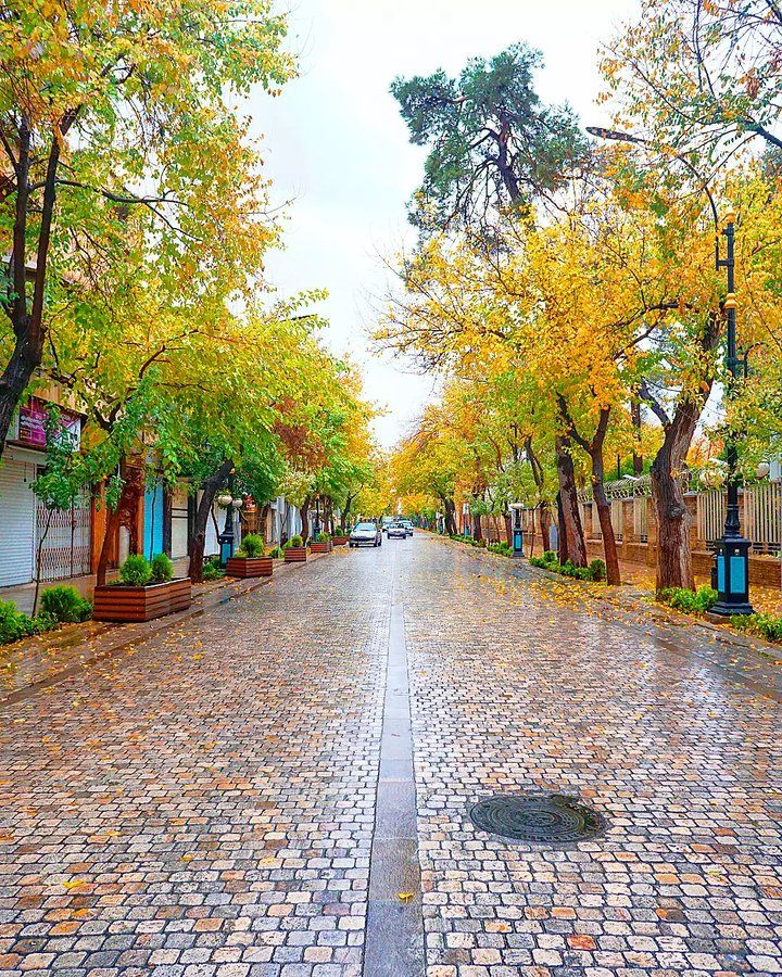 خیابان طالقانی شیراز در پاییز (عکس فاقد یار میباشد)