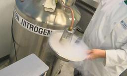 گاز ازت گازی پرکاربرد و هیجان انگیز