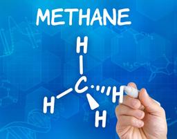 تاثیر پرورش دام ها در گرمای زمین و تولید گاز متان