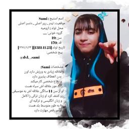 معرفی گروه دی وی ال