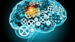 در جستجوی حقیقت